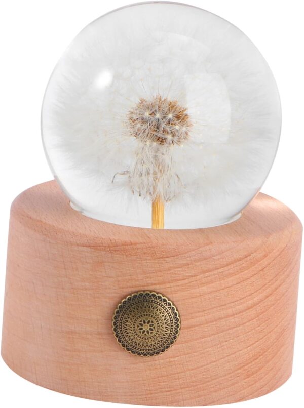 1pc Dandelion Crystal Wooden Base Preserved Flower Decor for Desktop Unique for Women Birthday and Home Decoration Shape Box
