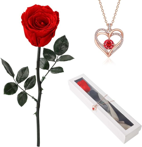 Flowers for Delivery ,Single Preserved Rose with Necklace for Women,Real Roses Gift Set for Her,Mom Birthday Gifts from Daughter, Valentines Flowers (Red)