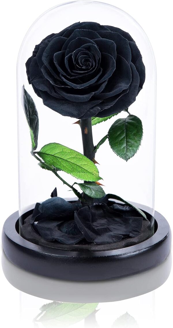 Handmade Preserved Flowers in Glass Dome, Black Roses