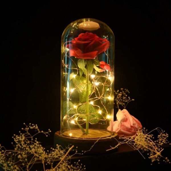 Preserved Rose d Rose Red Silk Rose in Glass Dome with LED Lights Pine Base, Romantic Home Decor Gifts for Mom Women Valentines Day Christmas Mothers Day Wedding Anniversary Birthday