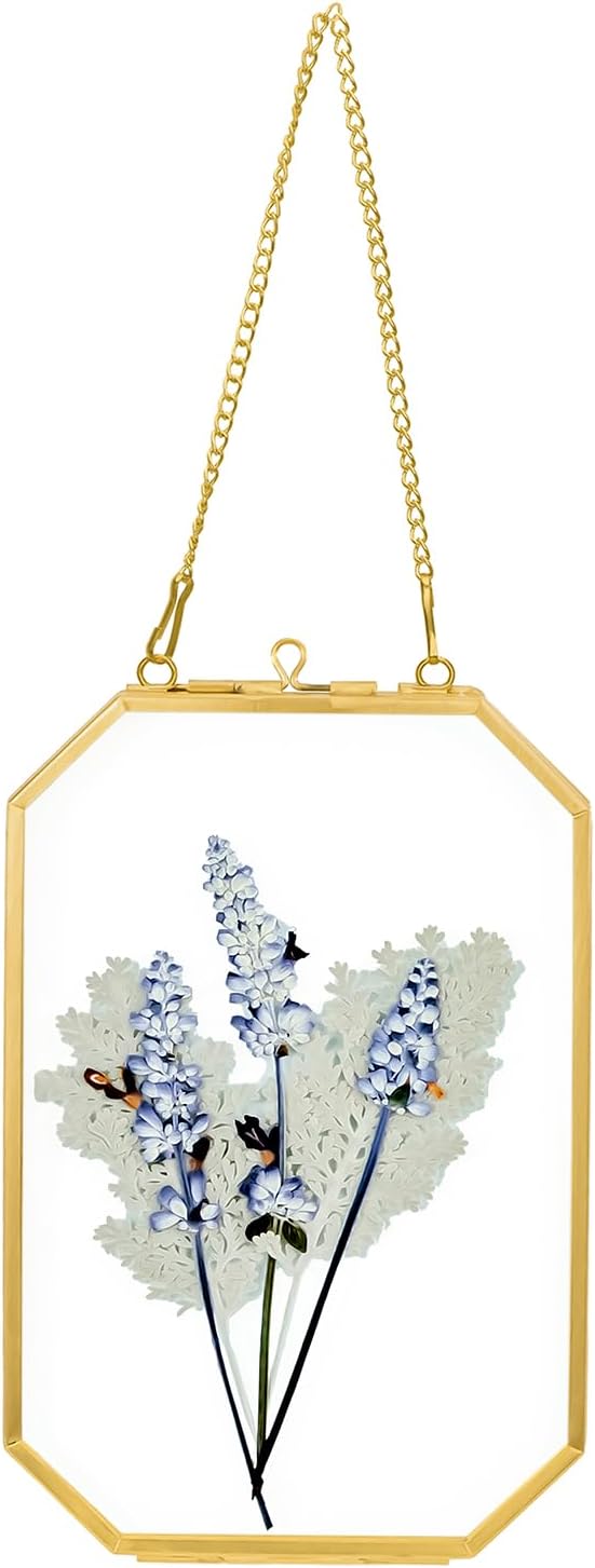 4" x 6" Pressed Flower Frames, Glass Floating Frame with Chain for Artwork Photo, Picture, Pressed Dried Flowers, Plant Specimen, Vintage Wall Decor, Gold, Handmade (Glass Frame Only)