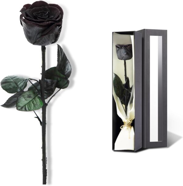 Preserved Rose, Preserved Flowers for Delivery , Single Rose Flower Gifts for Women, Real Rose Gifts for Her, Birthday Gifts, Valentines Flowers for Girlfriend - Black