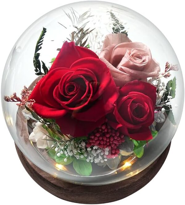 Preserved Flowers in Glass Dome, Long-Lasting Eternal Roses Birthday Gifts for Women Mom Grandma Wife Girlfriend Forever Flowers for Delivery