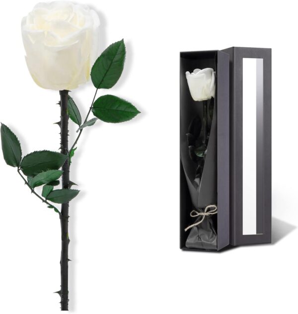 White Flowers for Delivery , Preserved White Roses Flower Gifts for Women, Real Roses Single Rose Gifts for Her, Mom Birthday Gifts from Daughter, Valentines Flowers