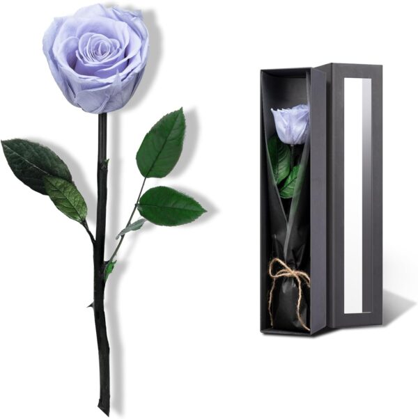 Blue Flowers for Delivery , Preserved Blue Roses Flower Gifts for Women, Real Roses Single Rose Gifts for Her, Mom Birthday Gifts from Daughter, Solid Lilac Roses