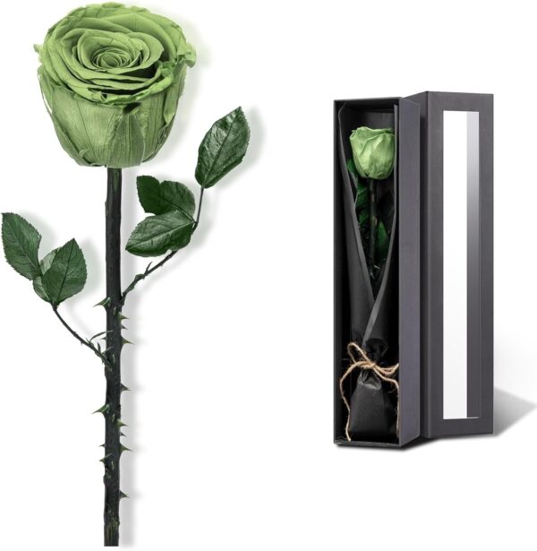 Green Flowers for Delivery , Preserved Green Roses Flower Gifts for Women, Real Roses Single Rose Gifts for Her, Mom Birthday Gifts from Daughter, Valentines Flowers