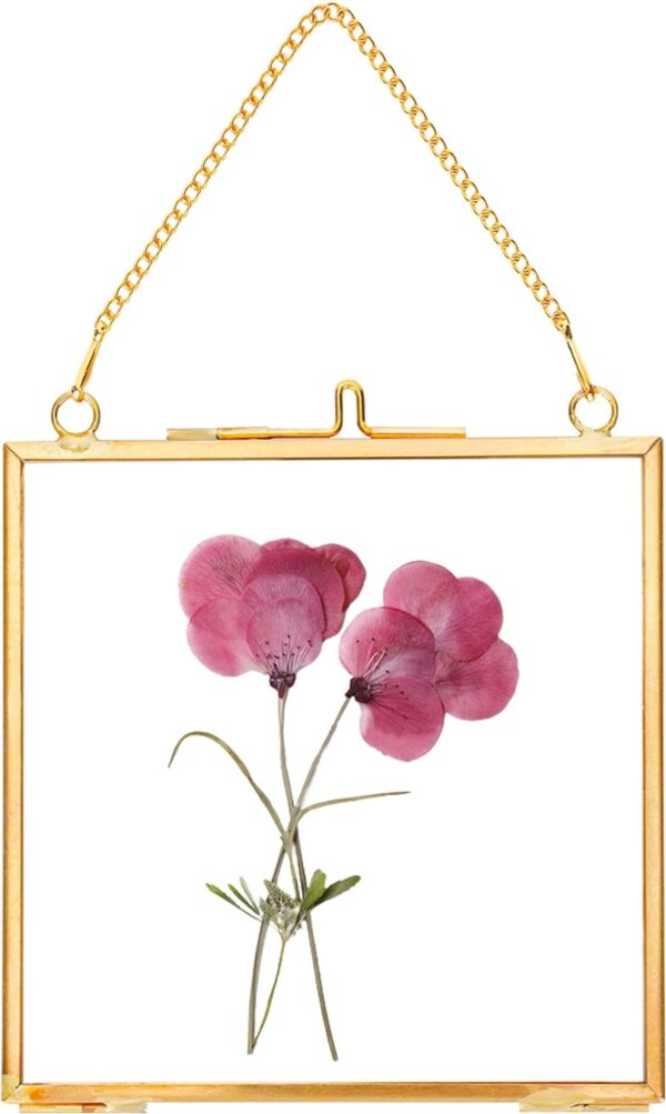 Glass Pressed Flower Frames,Vintage Hanging Picture Frames with Chain,Handmade Brass Floating Picture Frame,Plant Specimen Wall Ornament Display Artwork DIY Family Photo,Square,Gold,4x4 Inches
