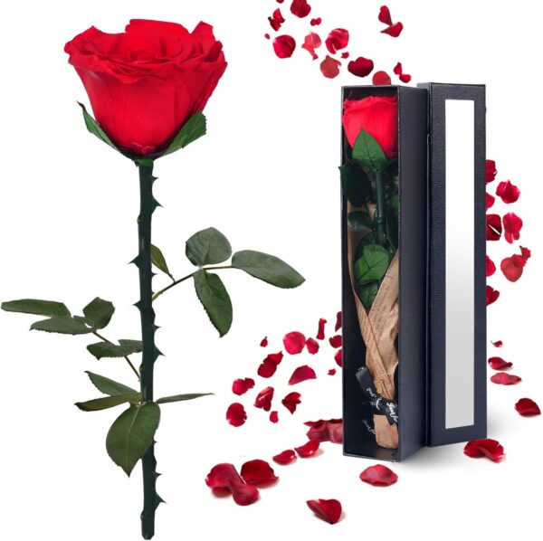 Flowers for Delivery  Gifts for Women: Preserved Rose Gifts for Mom Wife Grandma Birthday Single Rose Red