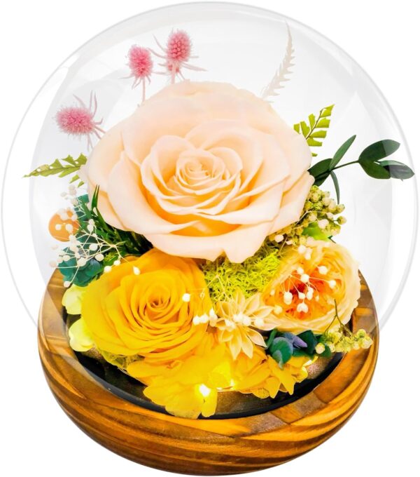 Preserved Flowers for Mom - Preserved Champagne Roses in Glass Dome with LED Light for Girlfriend, Eternal Real Flowers for Women, Unique Long-Lasting Gift to Celebrate Mother's Day ( Delivery)