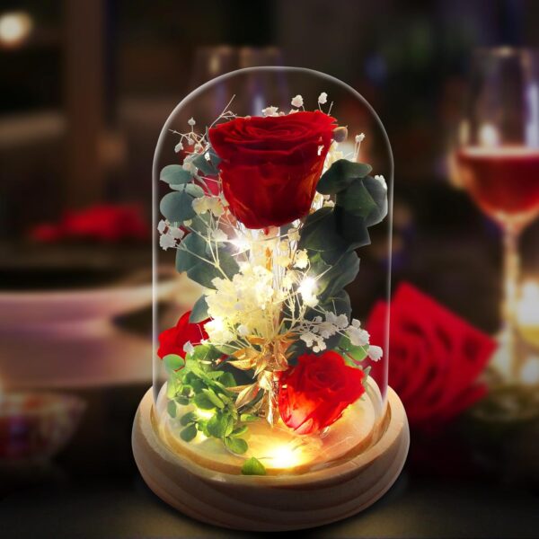 Birthday Gift Preserved Rose Glass Jar Dome, Eternal Rose Glass Ball，Real Flowers，Entwined with LED Lights & Wooden Base，Gift for Graduation，Mother's Day, Wedding，Birthday Gift
