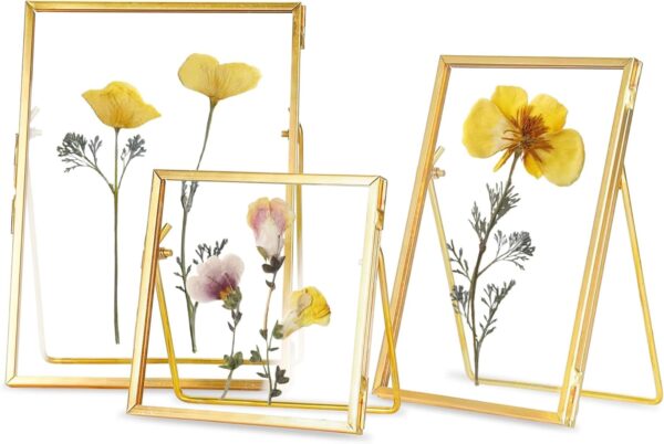 Glass Frame for Pressed Flowers Handmade, Double Glass Floating Picture Frame Set, Brass Photo Frame, Standing Frame Set, Small Picture Frame, Gifts for Family, 4×4", 4×6", 5×7", Gold