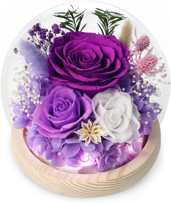 Preserved Flowers in Glass Dome Forever Fresh Flowers for Delivery  Purple Eternal Rose That Last 1-3 Years,Birthday Flowers Gifts for Women Mom Grandma Wife Friends
