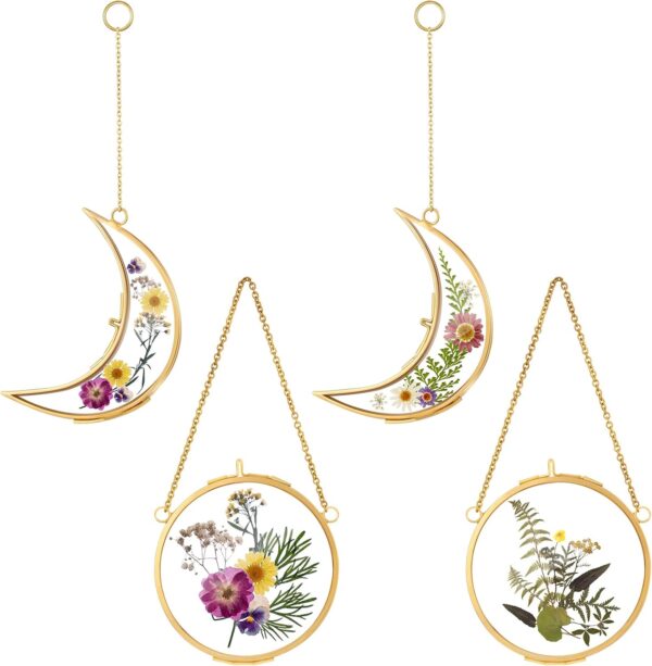 4 Pcs Pressed Flower Frame Double Glass Frame for Pressed Flowers Sun and Moon Shaped Hanging Photo Dried Flower Glass Frames with Chain for DIY Crafts Dried Plant Wall Decor(Gold,3.5 Inch)