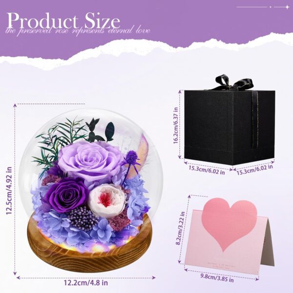 Preserved Real Flowers Gifts for Mom,Her,Women,Wife,Forever Fresh Roses in Glass Dome with LED Lights for Home Decor for Delivery  Valentines,Mothers Day,Christmas,Wedding,Purple - Image 2