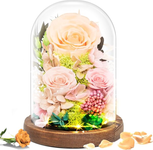 Christmas Flowers Gifts for Women Preserved Rose in Glass Dome, Forever Flowers, Birthday Gifts for Women, Wife, Mom, Grandma, Friend, Sister - Champagne