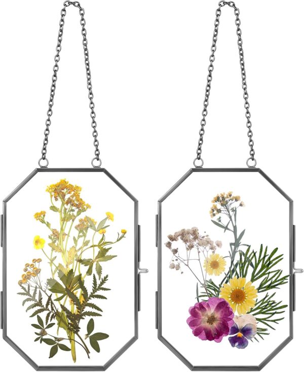 2 Pcs Glass Pressed Flower Frames Hanging Picture Clear Floating Octagon Geometric Double Glass Frame for Pressed Flowers DIY Vintage Home Wall Decor(Black,4 x 6 Inch)