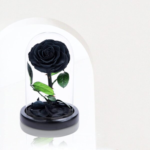 Handmade Preserved Flowers in Glass Dome, Black Roses - Image 2
