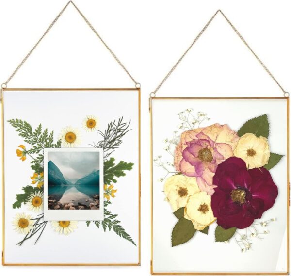 Double Glass Frame for Pressed Flowers, Leaf and Artwork - Set of 2 Hanging Picture Frames, Tempered Glass Floating Pressed Flower Frames, Large Rectangular Wall Decor Photo Display, Clear Metal Glass Frames with Chain (8x10, Gold)