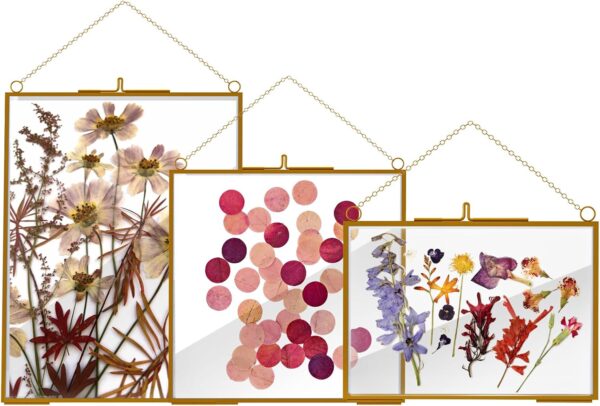 3 Pcs Glass Picture Frame for Pressed Flower,Golden Hanging Photo Frame Clear Glass Artwork Display Frame with Chain for Dried Plant Gallery Wall Decor DIY Home Wall Art