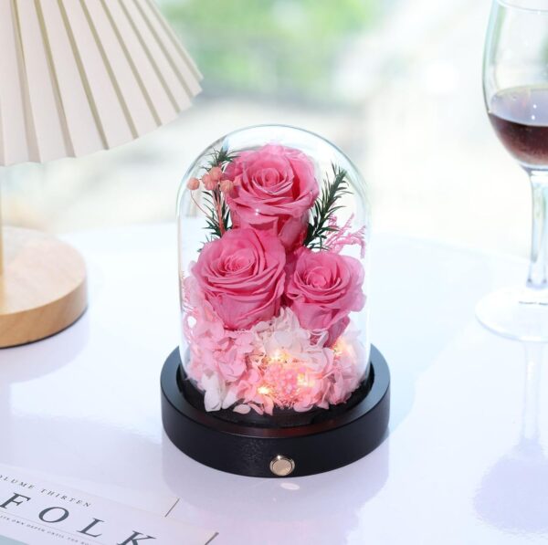 Mothers Day Flowers Gifts for Mom,Pink Forever Preserved Roses in Glass Dome, Anniversary Valentines Day Birthday Gifts for Wife Grandma Women Daughter Mother Her - Image 2
