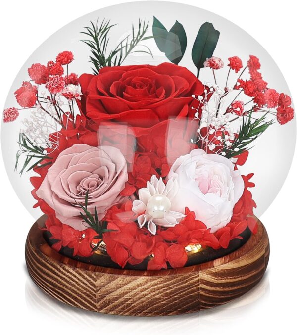Preserved Real Rose Glass Dome with LED Light, Preserved Flowers Gift for Women for Home Office Decoration (Red)