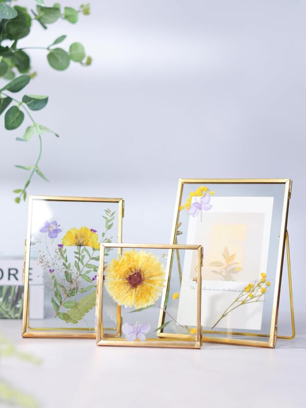 Glass Frame for Pressed Flowers Handmade, Double Glass Floating Picture Frame Set, Brass Photo Frame, Standing Frame Set, Small Picture Frame, Gifts for Family, 4×4", 4×6", 5×7", Gold - Image 2