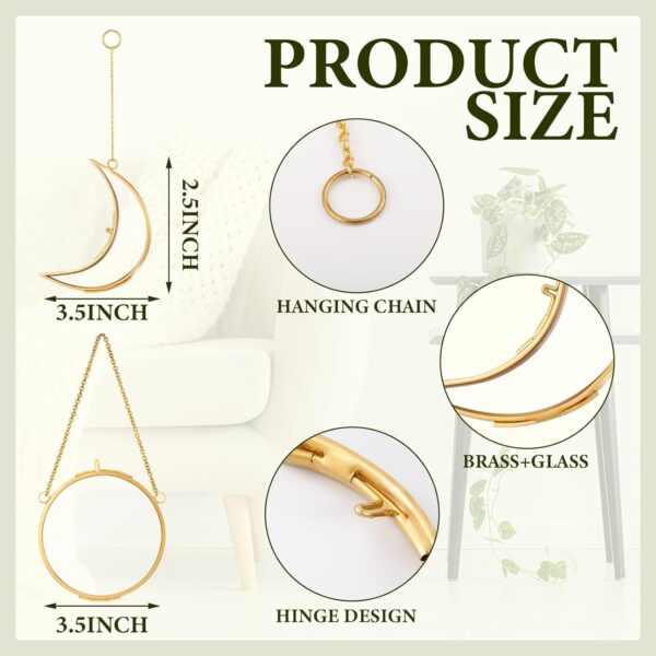 4 Pcs Pressed Flower Frame Double Glass Frame for Pressed Flowers Sun and Moon Shaped Hanging Photo Dried Flower Glass Frames with Chain for DIY Crafts Dried Plant Wall Decor(Gold,3.5 Inch) - Image 2