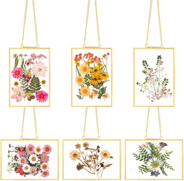 6 Pcs Pressed Flower Glass Picture Frames Wall Hanging Double Glass Frames Brass Floating Photo Frame Gold Horizontal Vertical Frames Clear with Chain for Gallery Artwork Dried Flowers Display