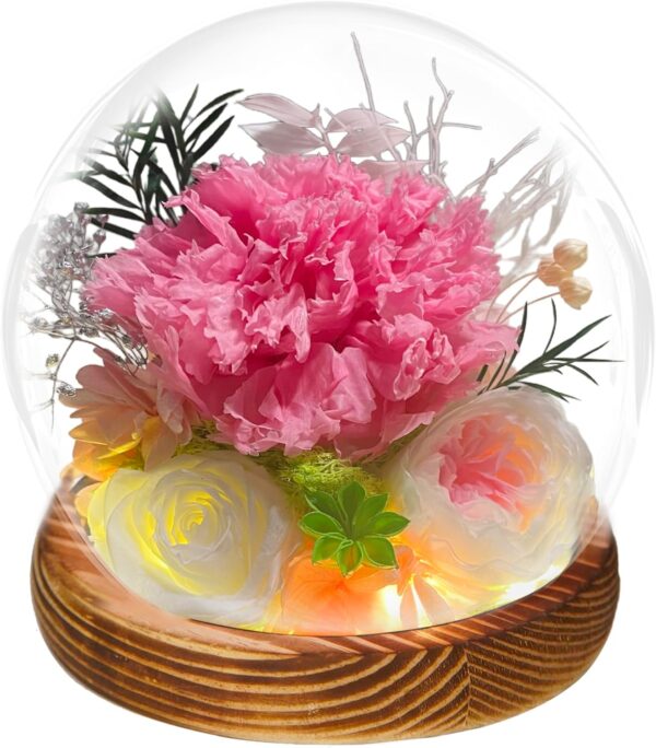 Roses Gifts for Her, Forever Preserved Roses in Glass Dome with LED Light, Mothers Day Birthday Rose Gifts for Women Mom Grandma Girlfriend Wife Best Friend, Pink Lasting Real Flowers for Delivery
