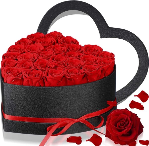 27 Pcs Preserved Roses in Heart Shape Box Eternal Real Flowers Immortal Roses Bouquet Long Lasting Flowers Box Gift for Mother Wife Girlfriend Birthday Anniversary (Red)