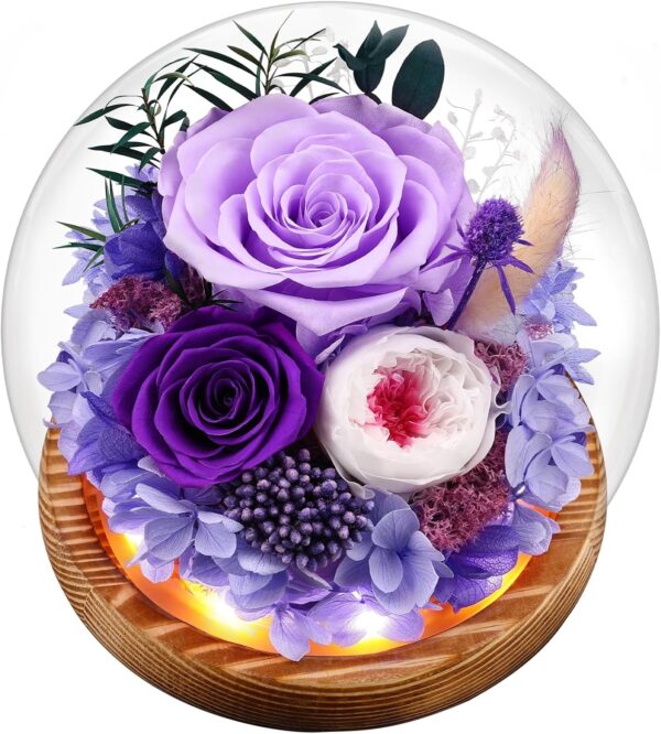 Preserved Real Flowers Gifts for Mom,Her,Women,Wife,Forever Fresh Roses in Glass Dome with LED Lights for Home Decor for Delivery  Valentines,Mothers Day,Christmas,Wedding,Purple