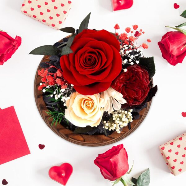 Birthday Gifts for Women Preserved Red Real Rose Flowers in Glass Dome, Forever Rose Gift for her Mom Wife Girlfriend on Christmas Birthday Anniversary - Image 2