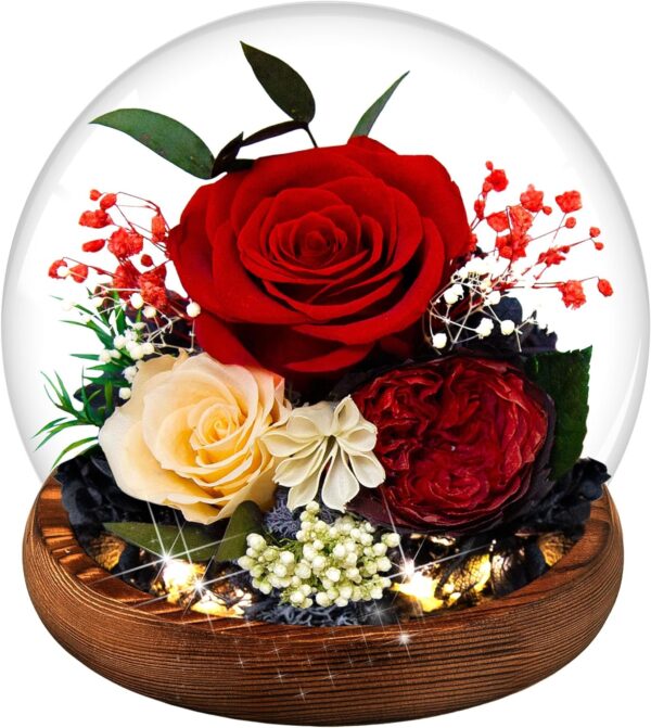 Birthday Gifts for Women Preserved Red Real Rose Flowers in Glass Dome, Forever Rose Gift for her Mom Wife Girlfriend on Christmas Birthday Anniversary