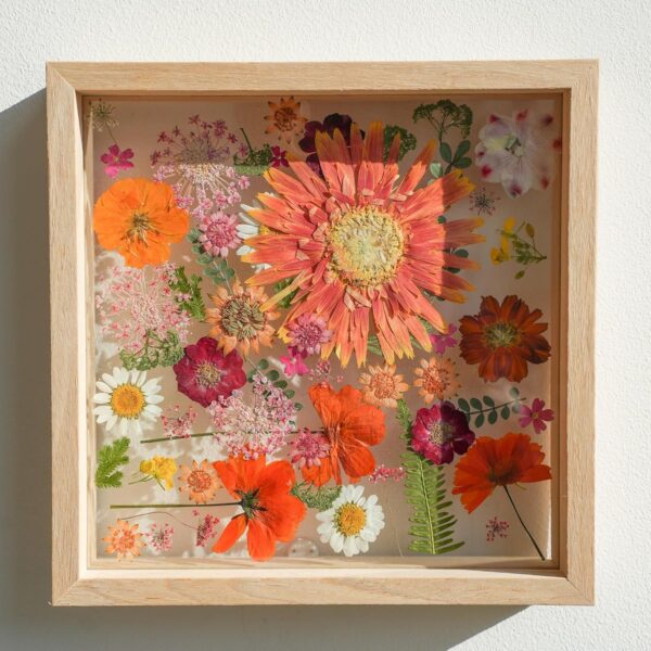 Pressed Flower Frame - 8.5x8.5 Inch Wood Shadow Box, Double Glass Floating Display & Botanical Art for Wall Decor, Tabletop Home Decor - Image 2